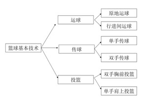  如何利用大数据技术优化篮球团队协作训练的方法